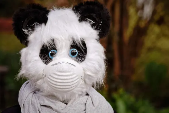 ベガドリーム カジノ サポート